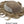 French Lace with Thin Skin Back and Sides Hairpieces